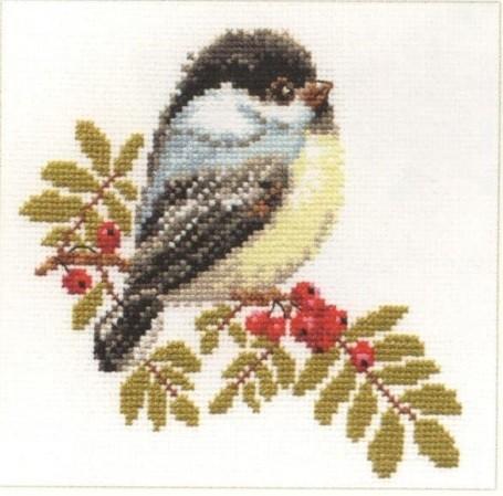 Chickadee 1-12 Cross-stitch kit featuring white aida fabric, colorful threads, and an embroidery needle.